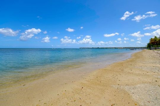 Apartamento en Baie Du Tombeau - Detalles sobre el alquiler n69812 Foto n14