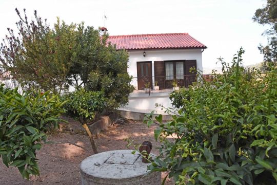 Maison � Palme - Location vacances, location saisonni�re n�69851 Photo n�7