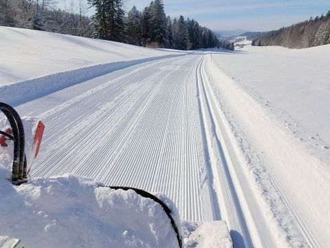 Gite in Hauterive-la-fresse - Anzeige N  69876 Foto N10