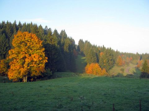 Casa rural en Hauterive-la-fresse - Detalles sobre el alquiler n69876 Foto n17