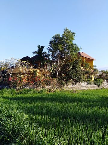 Casa rural en Gianyar - Detalles sobre el alquiler n69942 Foto n3