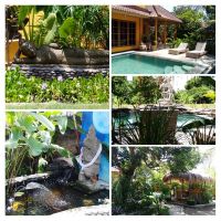 Gite in Gianyar for   6 •   with private pool 