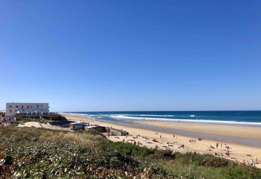 Casa en Biscarrosse-Plage - Detalles sobre el alquiler n70043 Foto n8