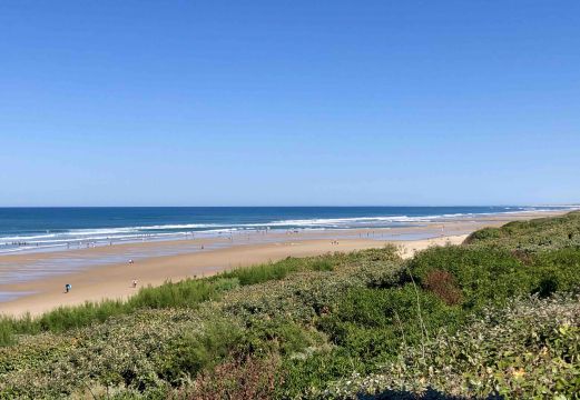 Maison  Biscarrosse-Plage - Location vacances, location saisonnire n70043 Photo n9