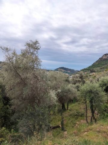 Caravana en San Biagio della cima - Detalles sobre el alquiler n70160 Foto n5