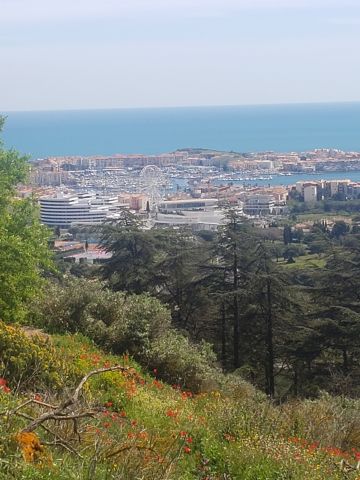 Estudio en Le cap d'Agde - Detalles sobre el alquiler n70161 Foto n0