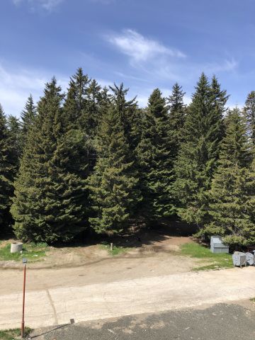 Studio  Kopaonik - Location vacances, location saisonnire n70352 Photo n18