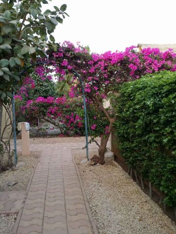 Maison  Saly - Location vacances, location saisonnire n70367 Photo n5