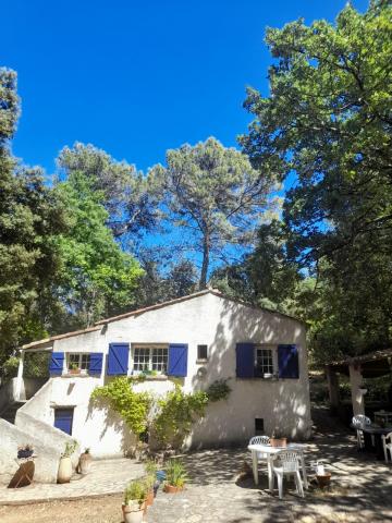 House in Trans-en-provence for   4 •   animals accepted (dog, pet...) 