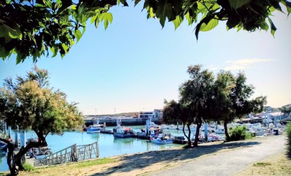 House in St pierre - Vacation, holiday rental ad # 70489 Picture #8