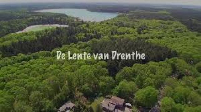 Chalet  Gasselte - Location vacances, location saisonnire n70678 Photo n12