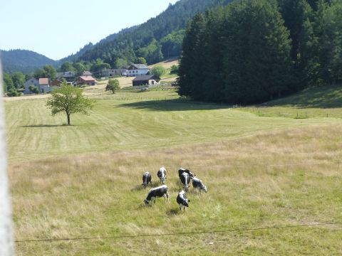 Appartement � La Bresse - Location vacances, location saisonni�re n�70701 Photo n�12