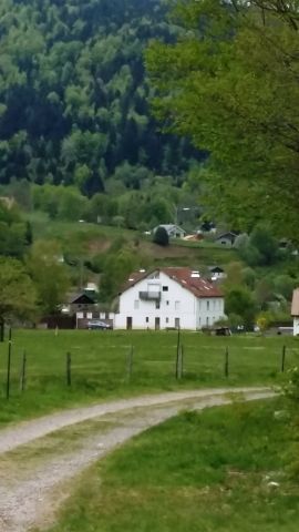 Appartement � La Bresse - Location vacances, location saisonni�re n�70701 Photo n�13