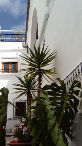 Haus in Competa - Anzeige N  70738 Foto N14