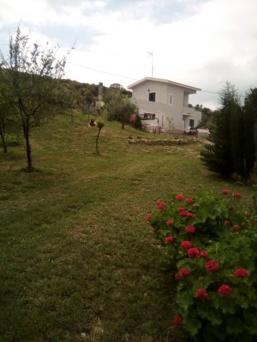 Maison  Castelsardo - Location vacances, location saisonnire n70801 Photo n6