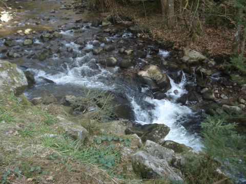 Apartamento en Gerardmer - Detalles sobre el alquiler n70864 Foto n13