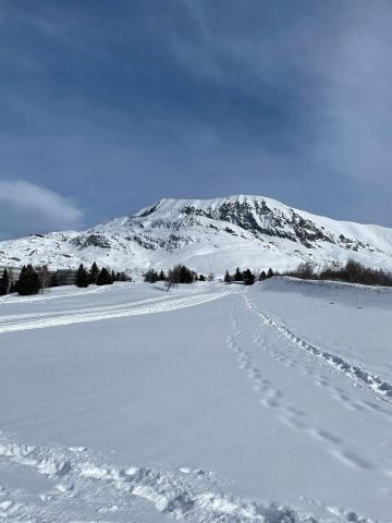  (miss) Alpe dHuez - Ilmoituksen yksityiskohdat:70925 Kuva nro2