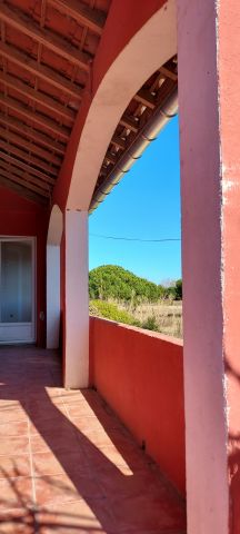 Flat in Le barcarès - Vacation, holiday rental ad # 70991 Picture #3 thumbnail