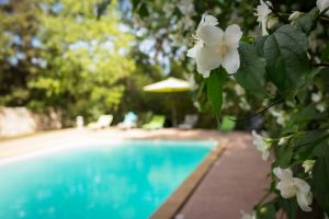 Vakantiehuisje voor 4 - Met zwembad en tuin in oude mas In rustig klei...