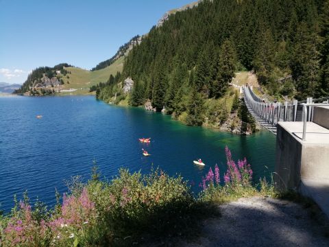 Studio  Les Saisies - Location vacances, location saisonnire n71050 Photo n2