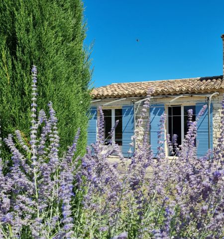 Maison  Gordes  - Location vacances, location saisonnire n71083 Photo n9