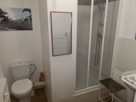 Studio in Lyon  - Vacation, holiday rental ad # 71181 Picture #3