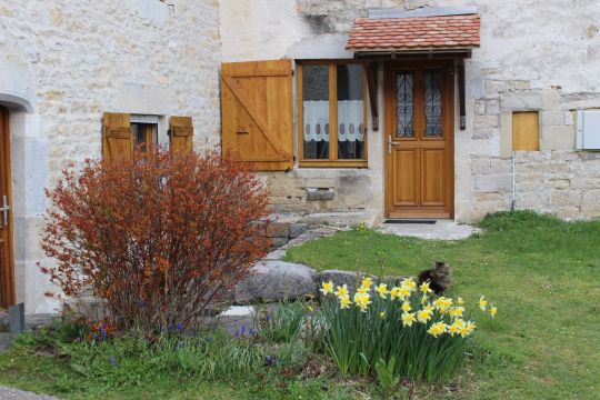 Maison  Orsans - Location vacances, location saisonnire n71378 Photo n10