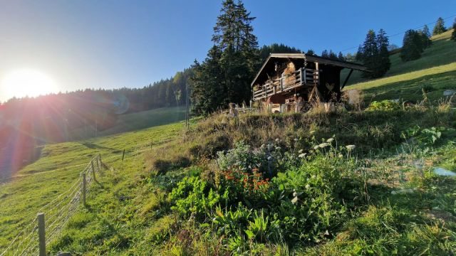 Chalet  Leysin - Location vacances, location saisonnire n71563 Photo n1