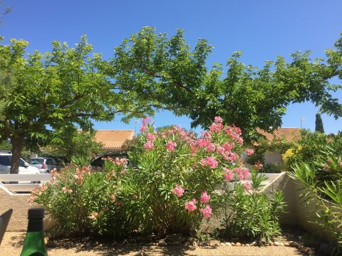 Gite in Gruissan - Vacation, holiday rental ad # 71619 Picture #11