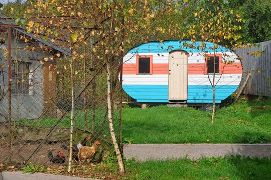Casa rural en Saulxures sur moselotte - Detalles sobre el alquiler n71643 Foto n19