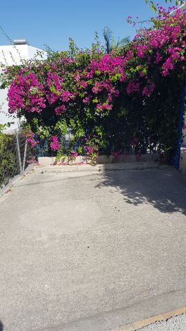 House in Rethymnon  - Vacation, holiday rental ad # 71646 Picture #2