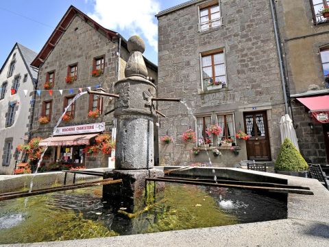 Gite in Besse et saint anastaise - Vacation, holiday rental ad # 71649 Picture #10