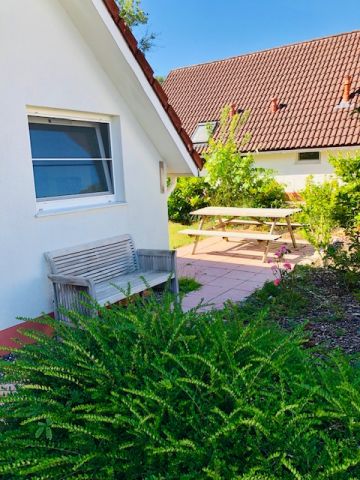 House in Daumazan - Vacation, holiday rental ad # 71700 Picture #5