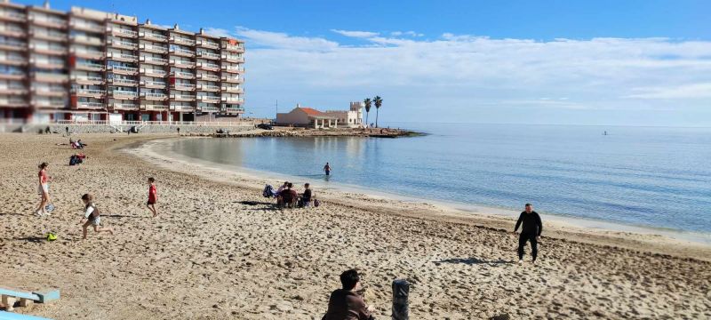 Bngalow en Torrevieja  - Detalles sobre el alquiler n71840 Foto n15