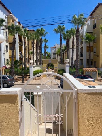 Bungalow in Torrevieja  - Vacation, holiday rental ad # 71840 Picture #2
