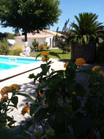 Gite  Isle sur la sorgue - Location vacances, location saisonnire n71842 Photo n11