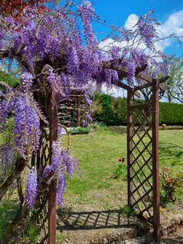 Maison  Sarlat La Caneda - Location vacances, location saisonnire n71941 Photo n10