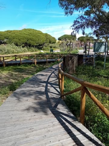 Casa en El Puerto de Santa Mara - cdiz - Detalles sobre el alquiler n71962 Foto n4