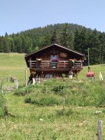 Chalet in Leysin voor  2 •   1 slaapkamer 