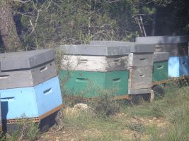 Gite  Roussas pour  2 •   avec terrasse 