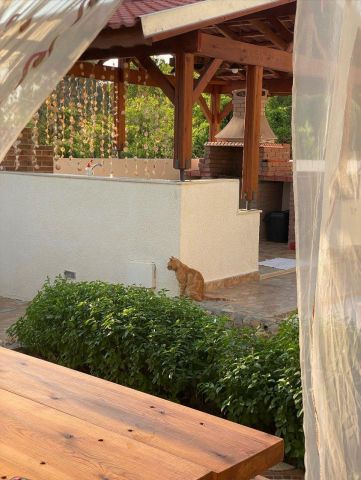 Maison  Rtiba  - Location vacances, location saisonnire n72031 Photo n13