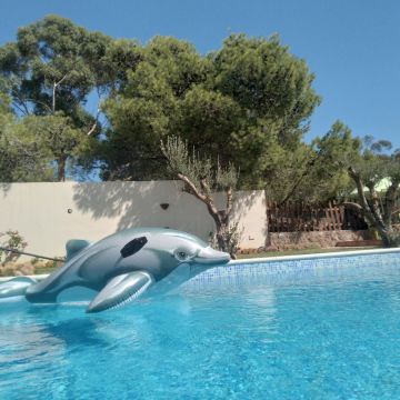 Maison  Rtiba  - Location vacances, location saisonnire n72031 Photo n18