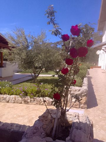 Maison  Rtiba  - Location vacances, location saisonnire n72031 Photo n3