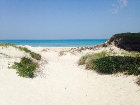 Maison  Rtiba  - Location vacances, location saisonnire n72031 Photo n7