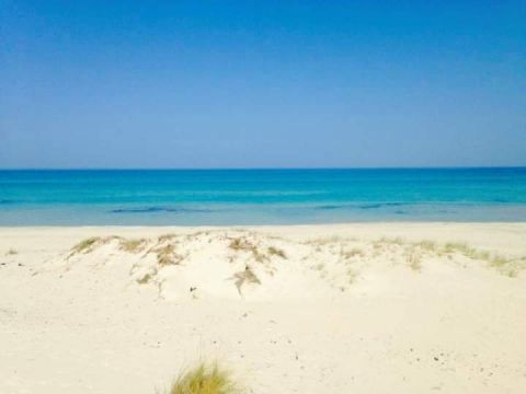 Maison  Rtiba  - Location vacances, location saisonnire n72031 Photo n8