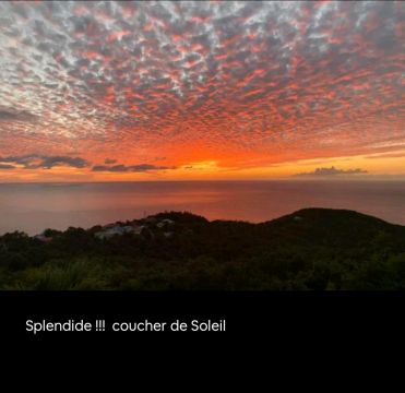 Flat in Bouillante - Vacation, holiday rental ad # 72032 Picture #10