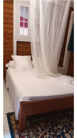 Flat in Bouillante - Vacation, holiday rental ad # 72032 Picture #2