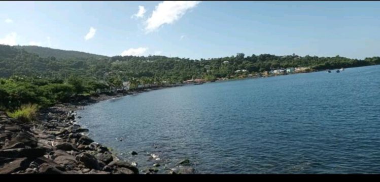 Flat in Bouillante - Vacation, holiday rental ad # 72032 Picture #4