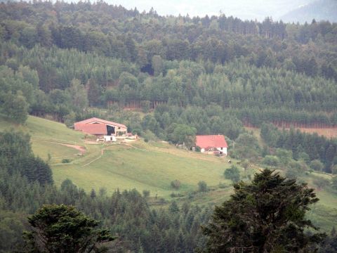 Gite (miss) Dommartin les Remiremont - Ilmoituksen yksityiskohdat:72059 Kuva nro3