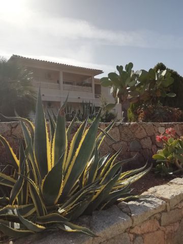 Apartamento en Propriano - Detalles sobre el alquiler n72283 Foto n1